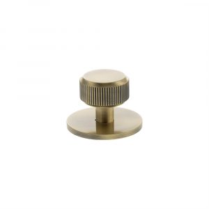 Millhouse Brass Battersea Linear Round Cabinet Knob Handle on Backplate - Antique Brass